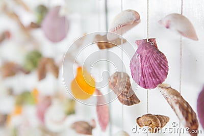 Selective focus of Colorful Mobile Shell on white wooden background Stock Photo