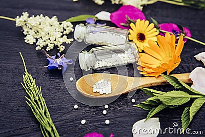 Selective focus on Homeopathic Medicine pills on spoon and medicinal bottles, decorated with fresh various herbal plants. Stock Photo