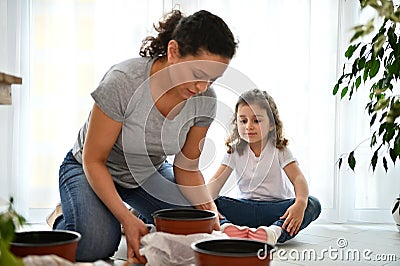 Selective focus: mom and daughter planting seeds and repotting houseplants at springtime Stock Photo