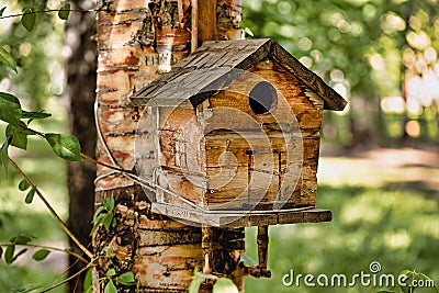 Selective focus photo of a cozy birdhouse on a tree, against the backdrop of a summer forest landscape Stock Photo