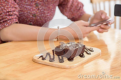 Selective focus on piece of brownie cake with blured two hands u Stock Photo