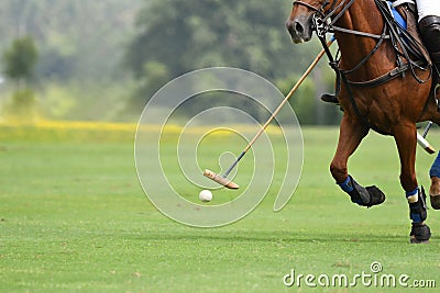 polo horse sport player hit a polo ball with a mallet in match. Stock Photo