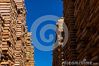 Wood planks stacked in sawmill yard Stock Photo