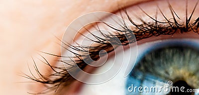 Selective focus shot of human eyelashes Stock Photo