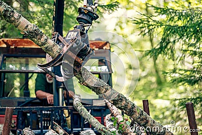 Selective focus of a timber lorry crane holding a wooden log in a forest Stock Photo