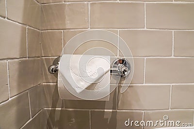 toilet paper roll hanging on the luxury wall for sanitary Stock Photo