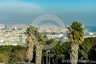 A selective focus view of Barcelona under a cloud of pollution and with some palm trees in the front Stock Photo