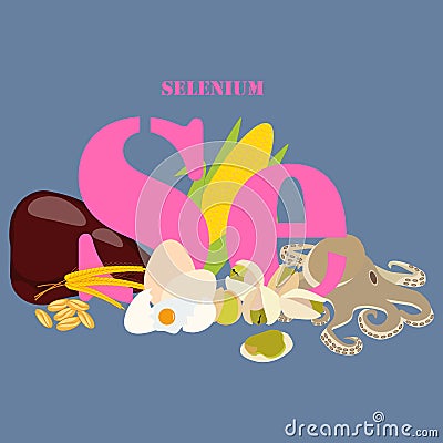 Selenium healthy nutrient rich food vector illustration Vector Illustration