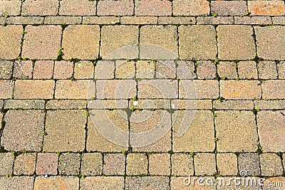 Self-locking concrete outdoor flooring in square and rectangular shapes Stock Photo