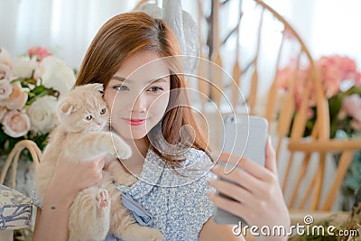 Selfie cat with a cute little girl . Stock Photo