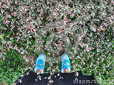 Selfie of feet and sneaker stand on green grass background Stock Photo