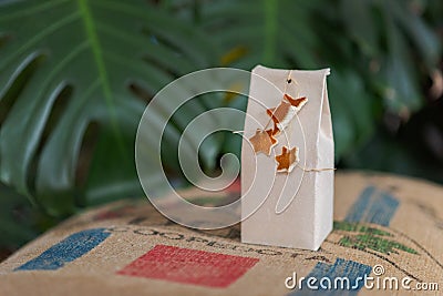 Selfmade gift box out of old beverage carton decorated with star shaped cut out dried roange peel standing on coffee bean bag with Stock Photo