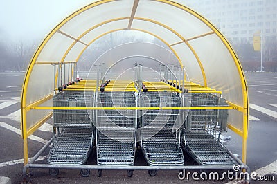 Selgros shopping carts Editorial Stock Photo