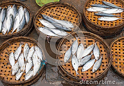 Selling fishes in Hoi An, Vietnam Stock Photo