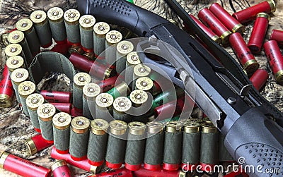 Semi-auto shotgun, 12 caliber shotgun cartridges in bandolier and stock of red and green cartridges on camouflage background Stock Photo