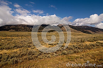 Semi desert and mountains Stock Photo