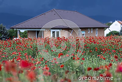 Semi-finished, half-finished house with red poppy field at overcast sky Stock Photo