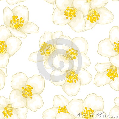 Semless pattern branch white flower jasmine with graphic watercolour style isolated on white background. Hand-draw branch flowers Vector Illustration