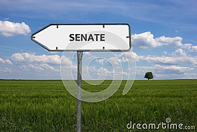 SENATE - image with words associated with the topic IMPEACHMENT, word cloud, cube, letter, image, illustration Cartoon Illustration