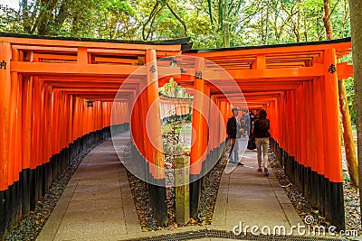 Senbon Torii Fushimi Inari Editorial Stock Photo