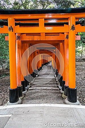 The Senbon Torii, Thousands Torii Gate, at Fushimi Inari Taisha Shinto shrine Stock Photo