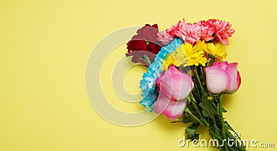 Send flowers online concept. Flower delivery for valentine and mother day. Bouquet of red pink roses isolated on violet background Stock Photo