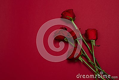 Send flowers online concept. Flower delivery for valentine and mother day. Bouquet of red roses isolated on red background. Post Stock Photo