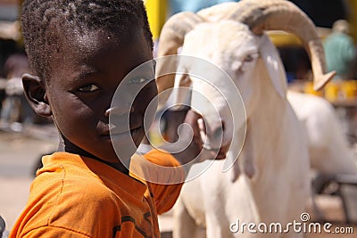 Senegalese Boy Plays with Sacrificial Sheep Editorial Stock Photo