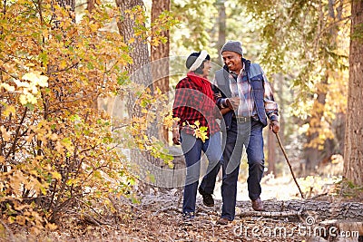 Senior African American Couple Walking Through Fall Woodland Stock Photo