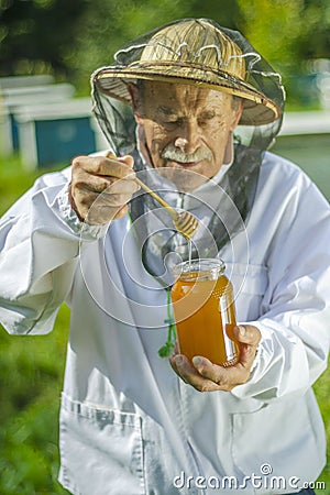 Senior apiarist checking his honey in apiary Stock Photo