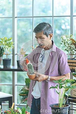 Senior retired man is spraying water on cactus pot welness hobby lifestyle Stock Photo