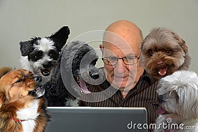 Man and dogs in homeoffice Everyone wants to have a loud say Stock Photo