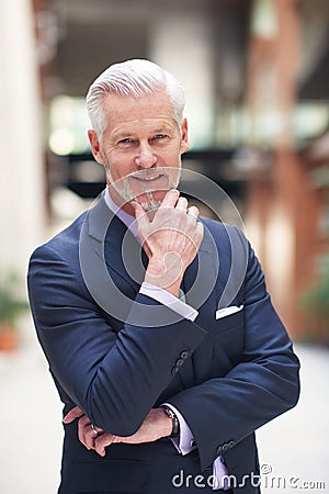 Senior business man portrait Stock Photo