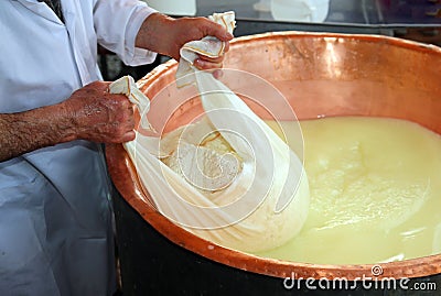 Senior cheesemaker collects the cheese with the tarp from the co Stock Photo