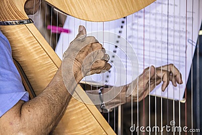 Senior citizen aged woman playing the harp with one wrinkled hand in clear focus and other hand and music blurred in background - Stock Photo