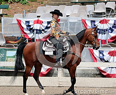 A Senior Citizen Rides A Trotting Horse At The Germantown Charity Horse Show Editorial Stock Photo