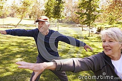 Senior Couple Doing Tai Chi Exercises Together In Park Stock Photo