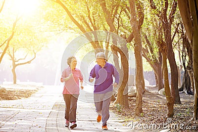 Senior Couple Exercising In the Park Stock Photo