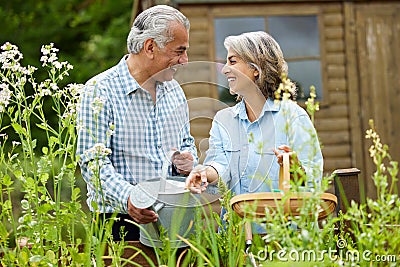 Senior Couple In Garden At Home Working On Raised Vegetable Beds Together Stock Photo