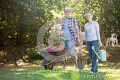 Senior couple gardening in the garden Stock Photo