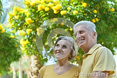 senior couple hugging Stock Photo