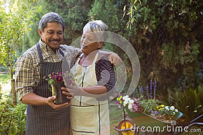 Senior couple looking sapling plant in garden Editorial Stock Photo