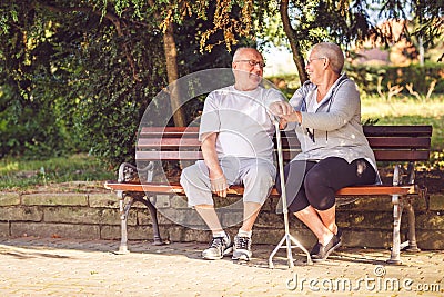 Senior couple in the park smiling while feeling happy together Stock Photo