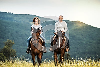 A senior couple riding horses in nature. Stock Photo