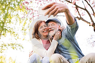 Senior couple with smartphone outside in spring nature. Stock Photo