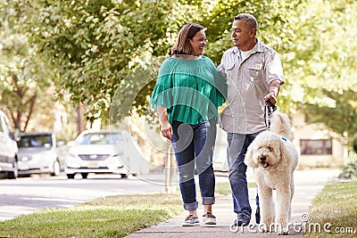 Senior Couple Walking Dog Along Suburban Street Stock Photo