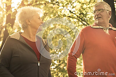 Seniors walking trough park and having conversation. Stock Photo