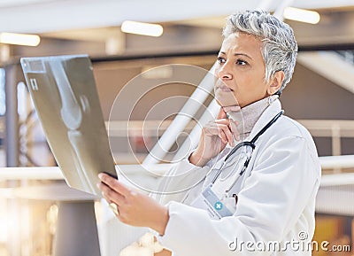 Senior doctor, analysis of xray and think with health, woman orthopedic with ideas and solution for surgery. Medicine Stock Photo