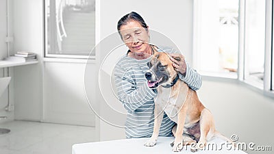 Senior and dog in a clinic, tacking care of pet concept, white background copy space Stock Photo