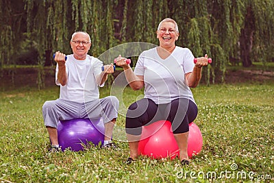 Senior exercise - pensioner couple holding dumbbells while sitting on fitness ball in park Stock Photo